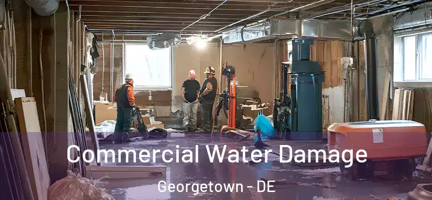 Commercial Water Damage Georgetown - DE