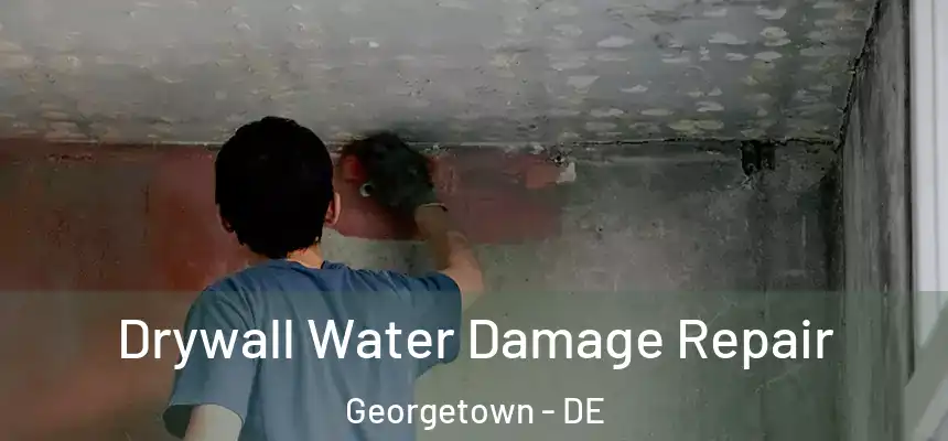 Drywall Water Damage Repair Georgetown - DE