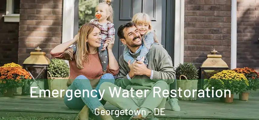 Emergency Water Restoration Georgetown - DE