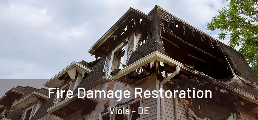  Fire Damage Restoration Viola - DE