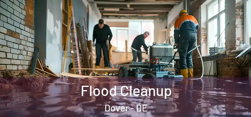  Flood Cleanup Dover - DE