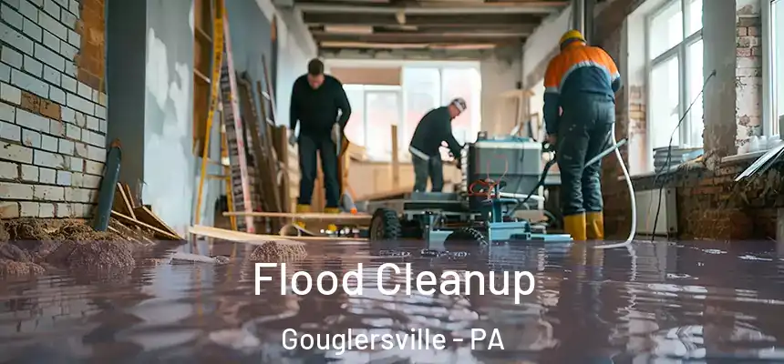  Flood Cleanup Gouglersville - PA