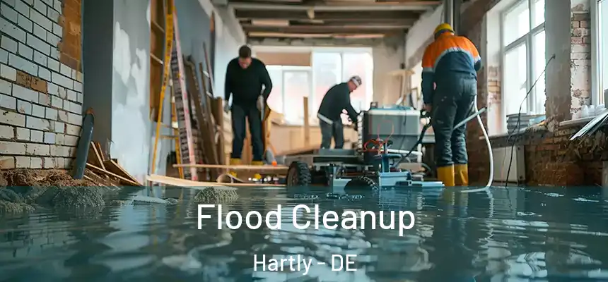  Flood Cleanup Hartly - DE