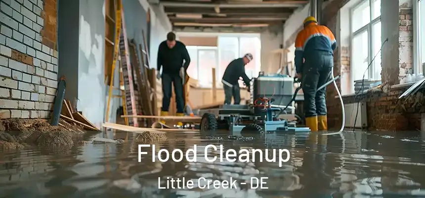 Flood Cleanup Little Creek - DE