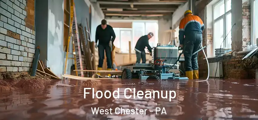  Flood Cleanup West Chester - PA