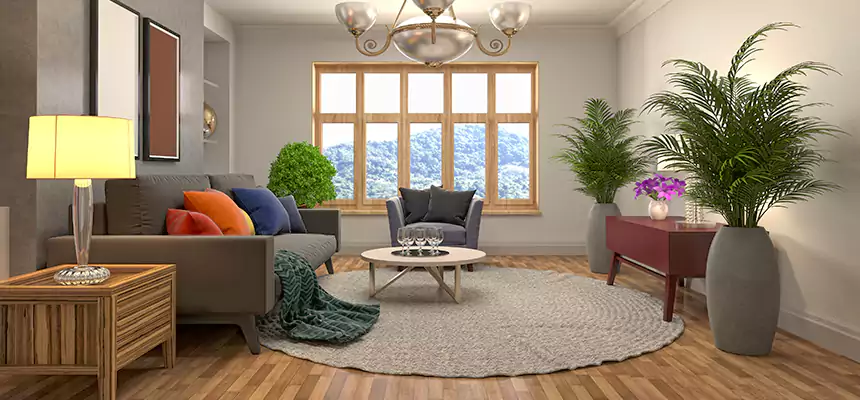 Local Water Mitigation in Georgetown