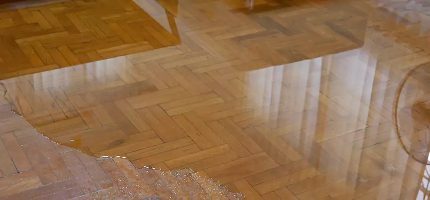 Laminate Wood Floor Water Damage Repair in Georgetown