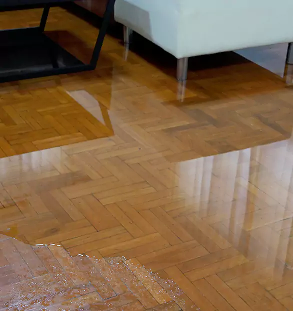 Trusted Emergency Water Restoration Company in Georgetown, DE