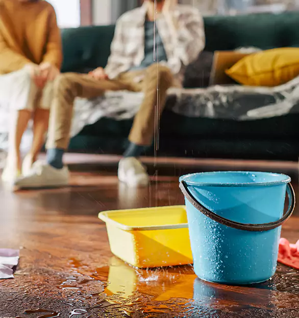 Trusted Water Mitigation Company in Georgetown, DE