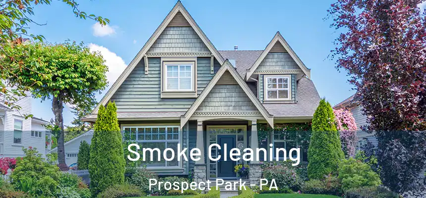 Smoke Cleaning Prospect Park - PA
