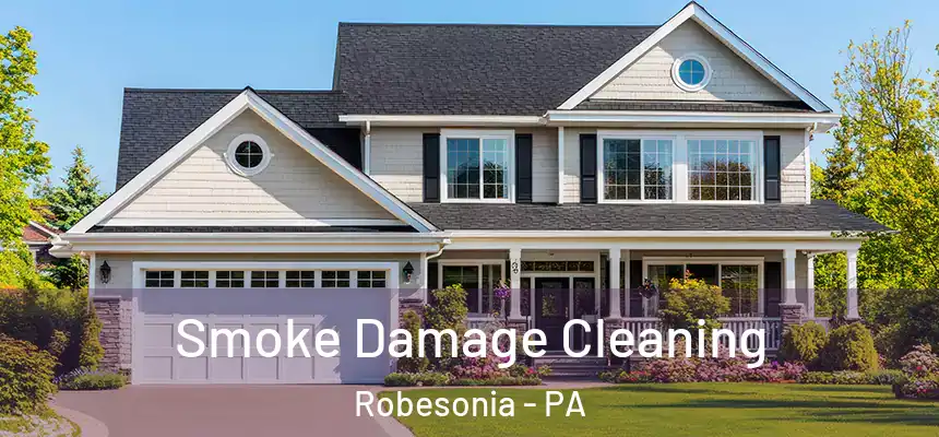 Smoke Damage Cleaning Robesonia - PA