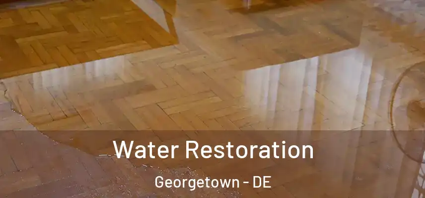  Water Restoration Georgetown - DE
